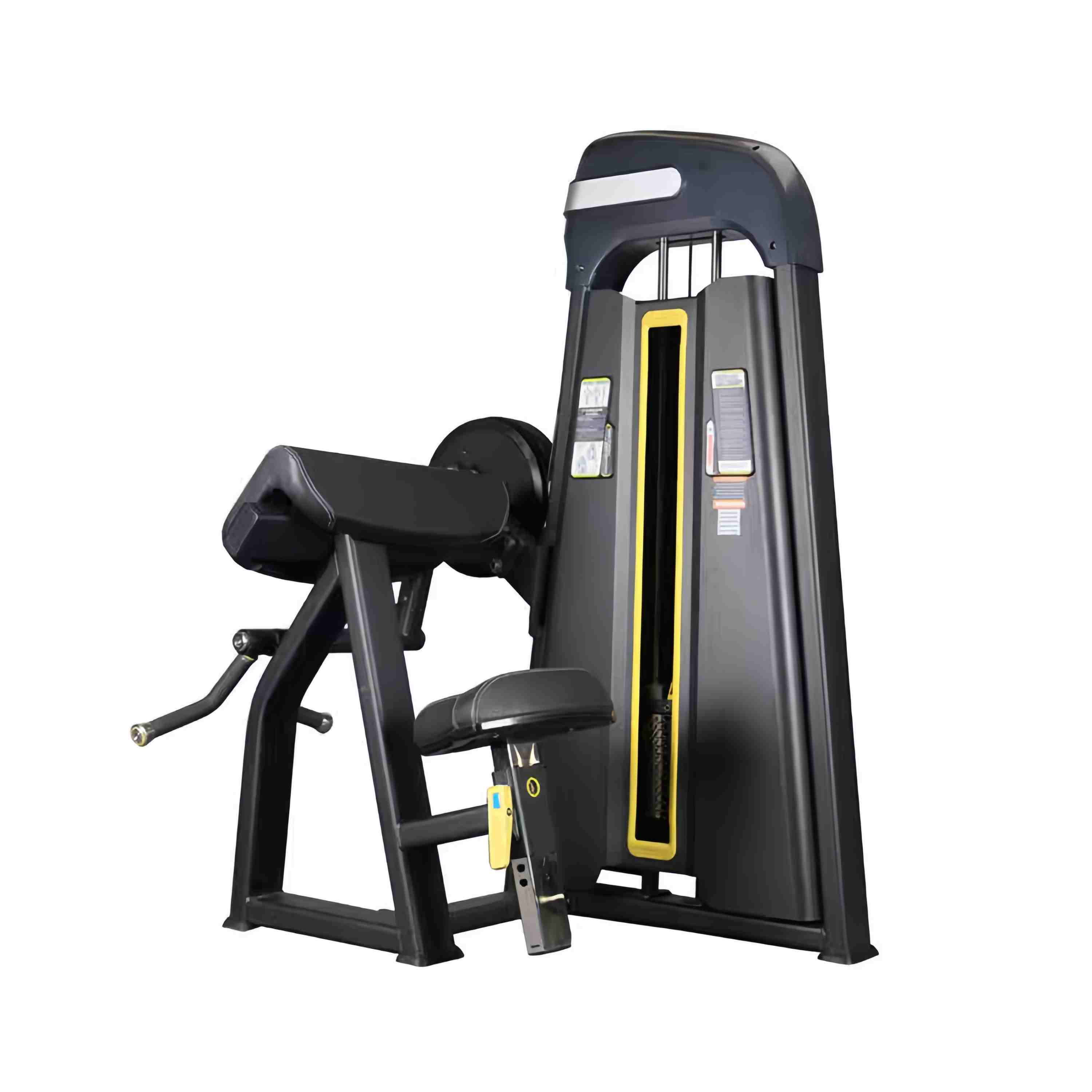 „Camber Curl“ ir „Bicep Curl“.